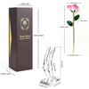 Champagne Peach gold dipped rose gift display