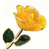 Dawn Lemon Gradient 5-petal natural gold dipped rose