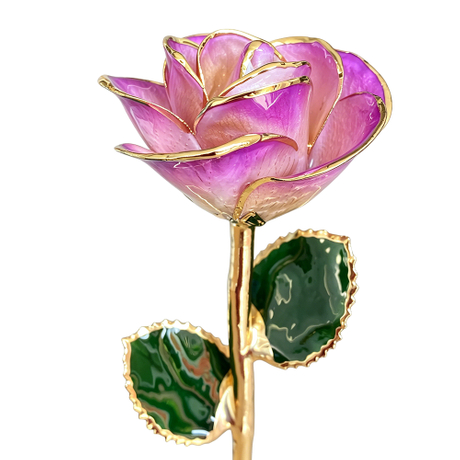 24K Gold Dipped Rose – Peach Gradient Edge 5-Petal Rose
