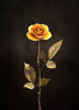 Six Gold Leaf Gold Rose