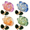 24K Gold Dipped Rose – Lotus Violet Edge 5-Petal Rose
