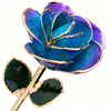 24K Gold Dipped Rose – Sky Ombre Violet Edge 5-Petal Rose