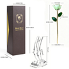 24K Gold Dipped Rose – Aurora Aqua White 5-Petal Rose