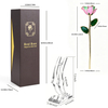 24K Gold Dipped Rose – Pastel Pink Green Blend 5-Petal Rose
