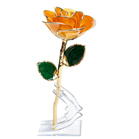 24K Gold Dipped Rose – Sunset Orange 5-Petal Rose