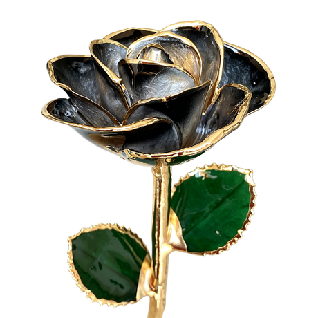 24K Gold Dipped Rose – Shadow Black Edge 5-Petal Rose