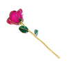 Gold rose wedding souvenirs cross-border e-commerce preferred gold-plated rose spot wholesale