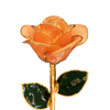 Factory direct sale 24K gold-plated roses Christmas ornaments cross-border e-commerce preferred baking paint flower