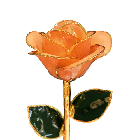 Factory direct sale 24K gold-plated roses Christmas ornaments cross-border e-commerce preferred baking paint flower