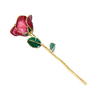 Factory direct sale 24K dipped gold roses Christmas decoration cross-border e-commerce preferred baking paint flower