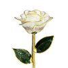 Factory direct sale gold-plated roses wedding decoration supplies cross-border e-commerce preferred dipped gold roses spot wholesale
