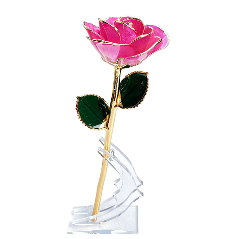 Champagne Peach rose petal with gold-plated edge detail