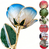 Gold dipped rose manufacturing process in China factory