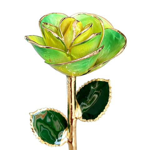 Garden Lime Blend 24K Gold Dipped Rose YC-41