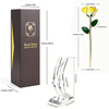 45 color collection of 5-petal 24K gold dipped roses