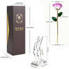 45 color options for colorful 5-petal gold dipped roses