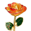 Flame Gradient 24K Gold Dipped Rose YC-44