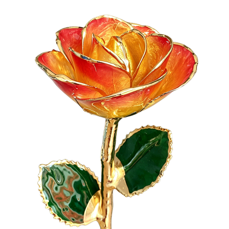 24K Gold Dipped Rose – Flame Gradient 5-Petal Rose