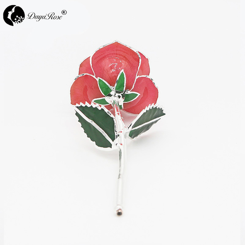 Pink Rose with Silver Lining (December)