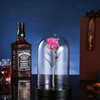 Rose Bud/rose Red+The Glass Cover