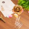 Daiya Champagne Pink Rose 24K Gold (gold Leaf)