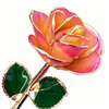 24k-gold-dipped-rose-orange-pink-edge-yc-05