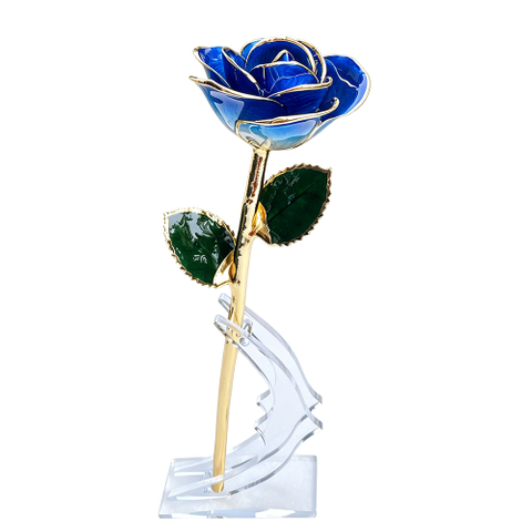 24K Gold Dipped Rose – Champagne Blue Ombre 5-Petal Rose