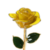 Source factory gold-plated roses valentine's day gift foreign trade company customized gold roses