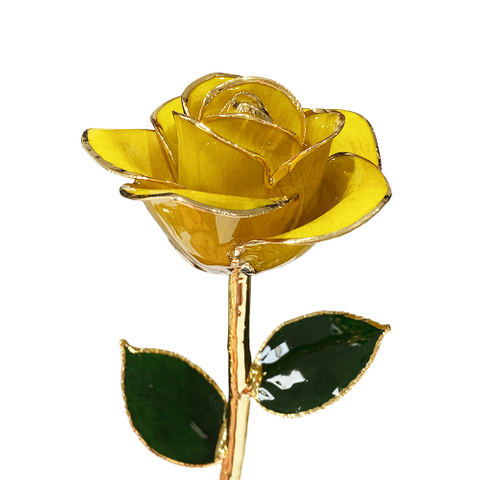 Source factory gold-plated roses valentine's day gift foreign trade company customized gold roses