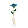 Factory direct sale gold-plated roses Valentine's Day proposal gift foreign trade companies customized gold roses