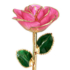 Champagne Peach 24K Gold Dipped Rose YC-32