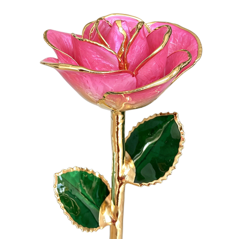 Champagne Peach 24K Gold Dipped Rose YC-32