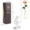 45 color 5-petal gold dipped rose color collection